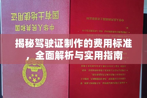 松江揭秘驾驶证制作的费用标准，全面解析与实用指南